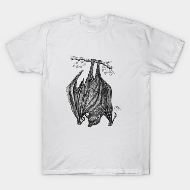 Upside down bat hanging T-Shirt by angipangi7